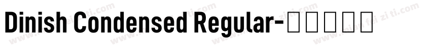 Dinish Condensed Regular字体转换